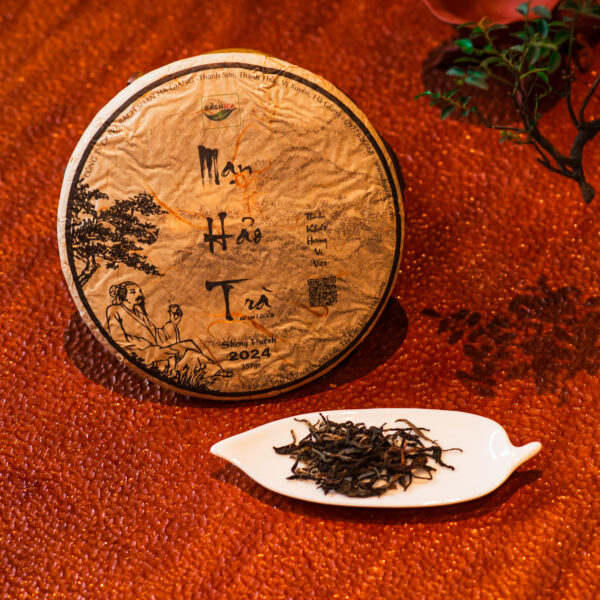 Mạn hảo trà sống